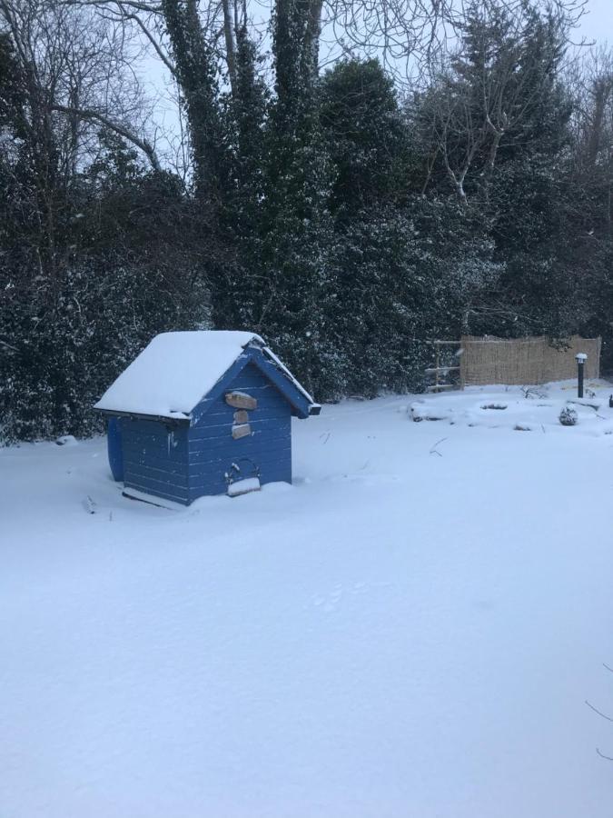 Log Cabin 아마 외부 사진